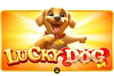 5qq Experimenta la emoción de Lightning Dice en 5qq